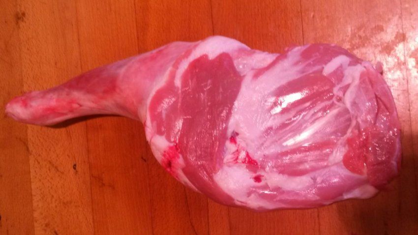 9ec3908ddcc89129c30f487d000e4855b57ea0cd