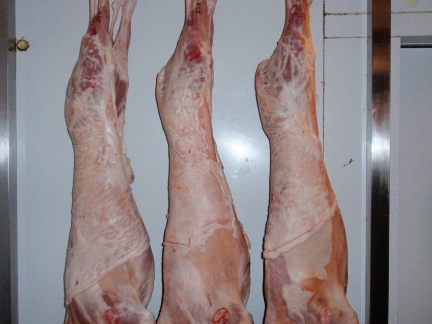 LECHAZO ENTERO