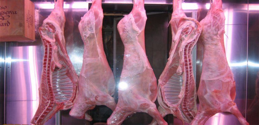 Lechazo de Castilla y León | Lechazo IGP