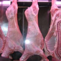 Lechazo de Castilla y León | Lechazo IGP